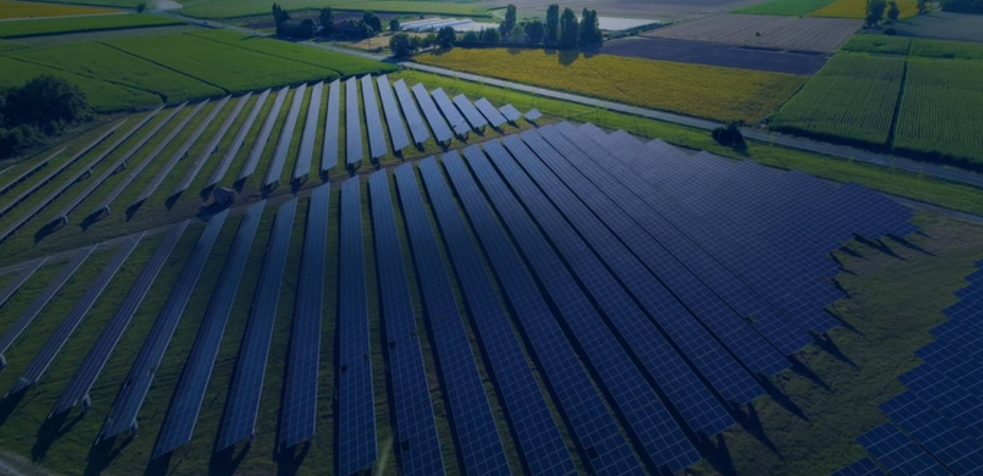 Field of Solar panels