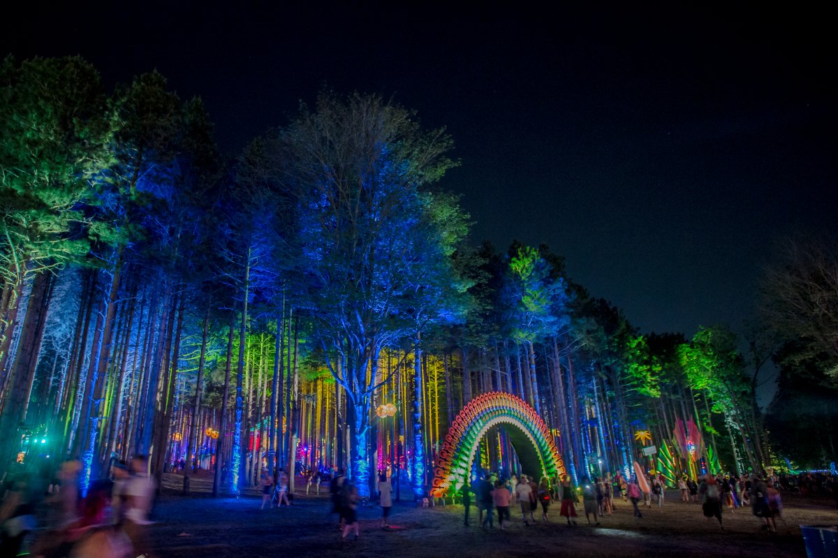 Image of an entrance in the shape of a rainbow and tall trees uplight in bright colors