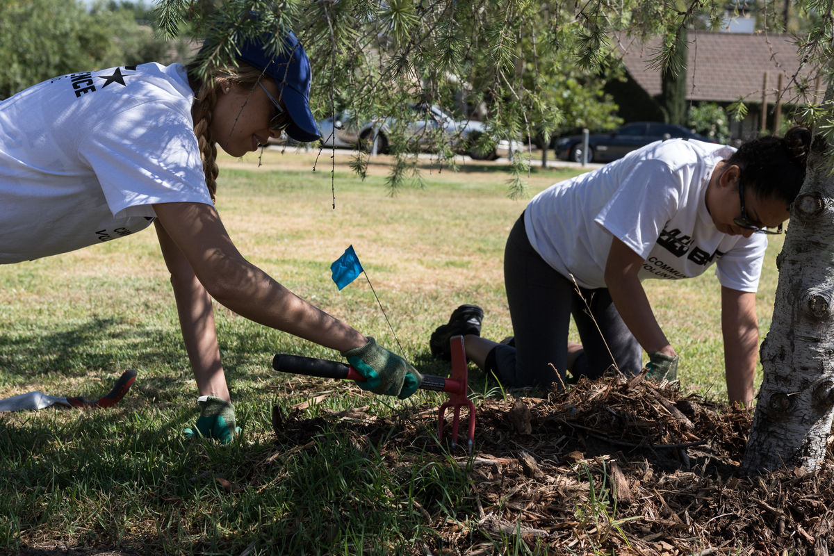 Employee volunteers clear weeds around newly planted trees at Griffith Park in Los Angeles during AEG and BET’s annual service day in conjunction with BET Experience at L.A. LIVE and the BET Awards.