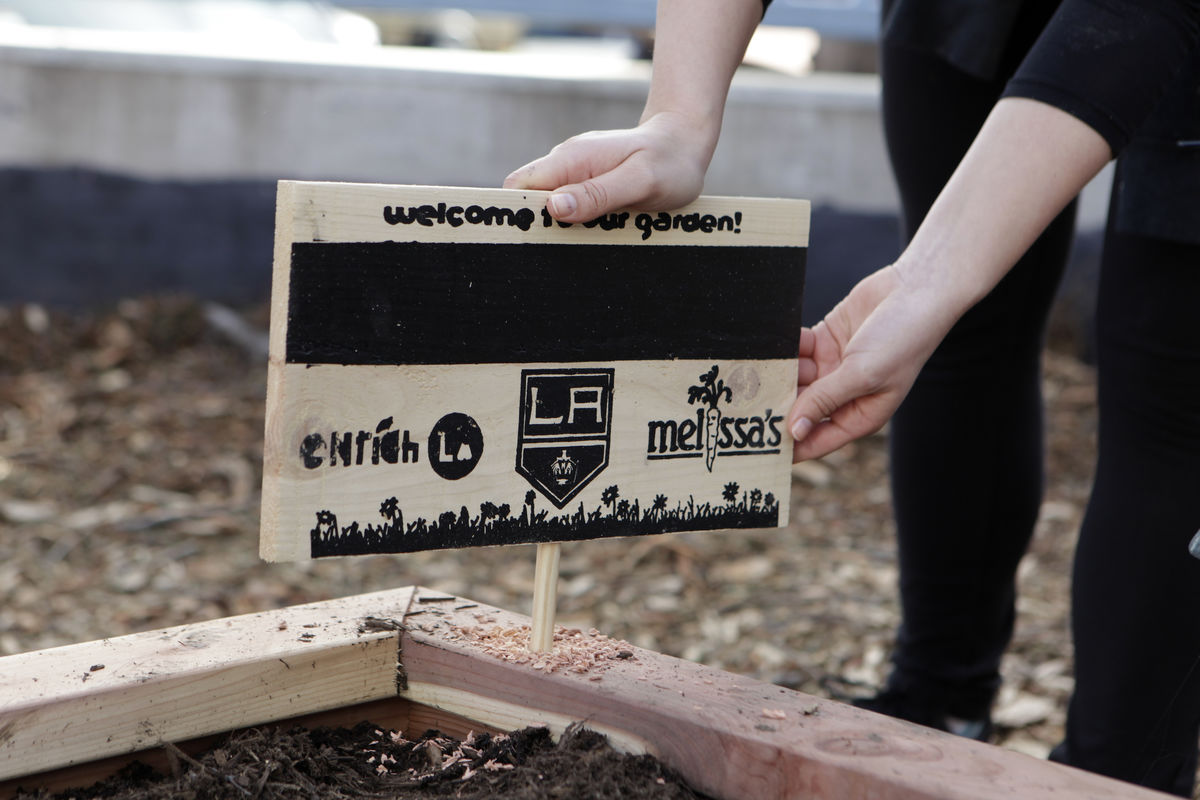 LA Kings staff put finishing touches on a brand new, edible and interactive garden for 500 students at 20th Street Elementary.