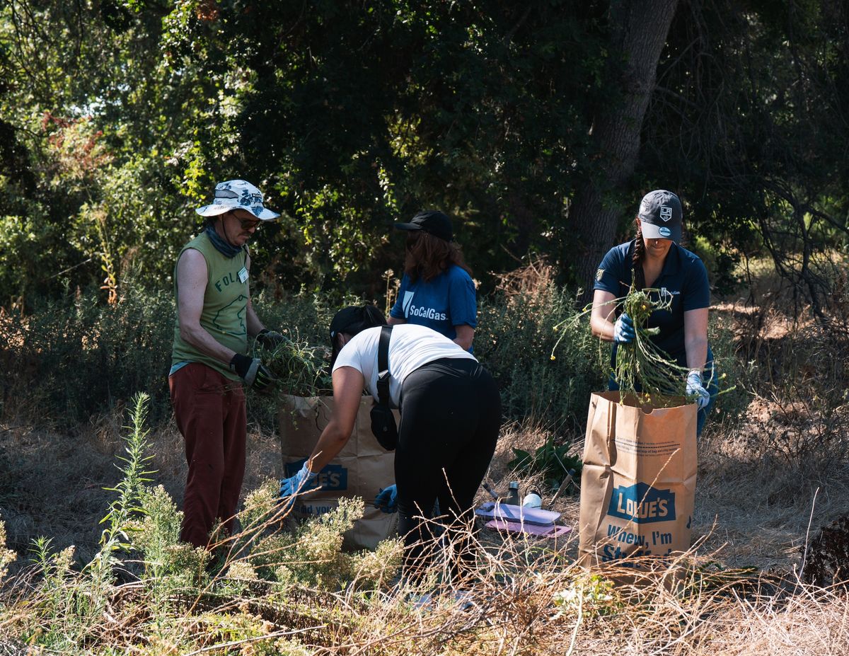 habitat restoration - la kings