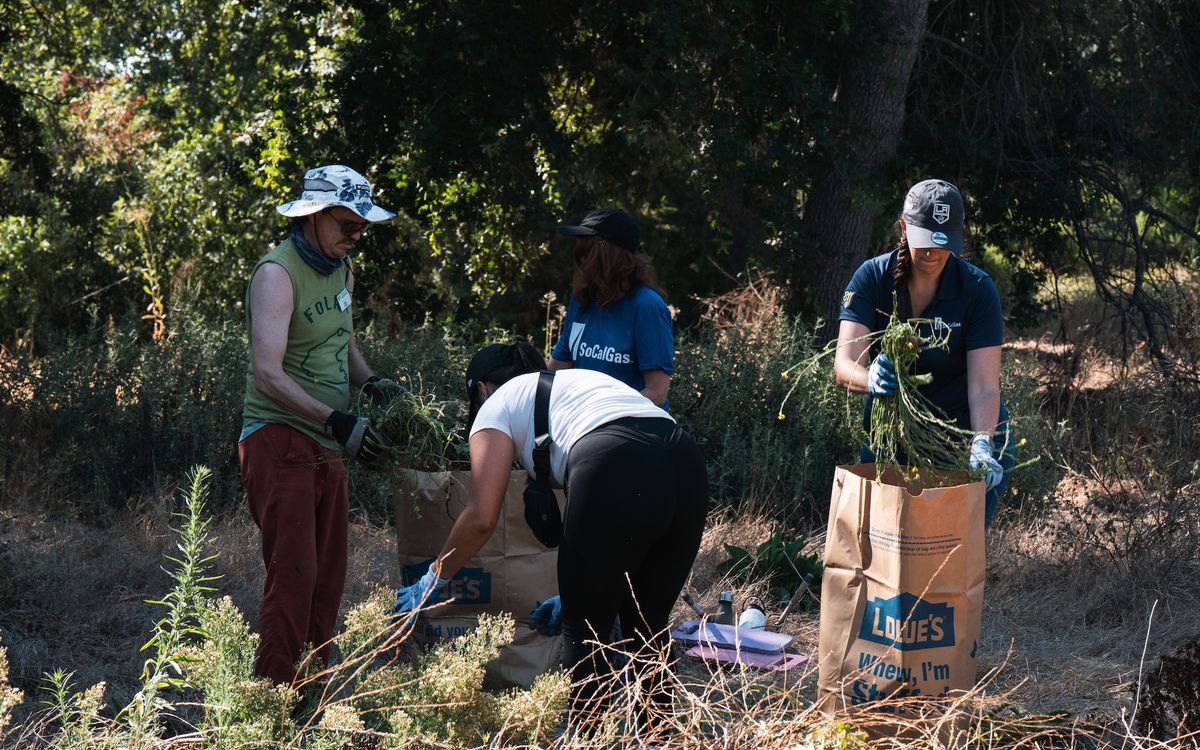 habitat restoration - la kings